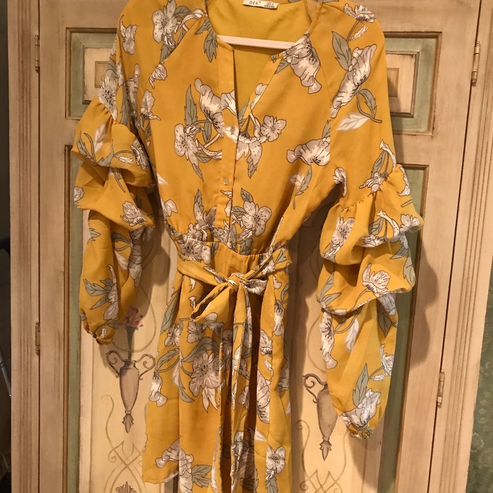 Bouffant Sleeve Dress